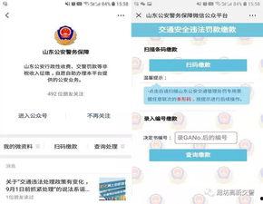 潍坊爆料大揭秘最新消息,最新热点事件深度解析